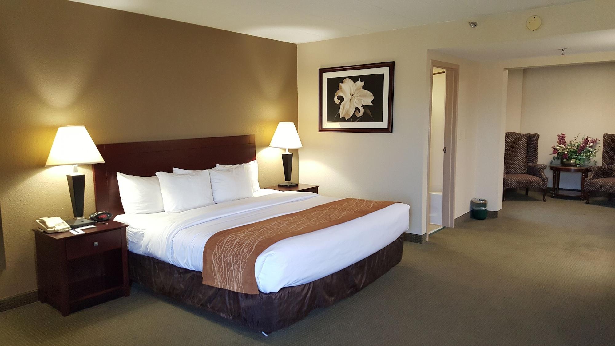 Comfort Inn Northeast Mason Dış mekan fotoğraf