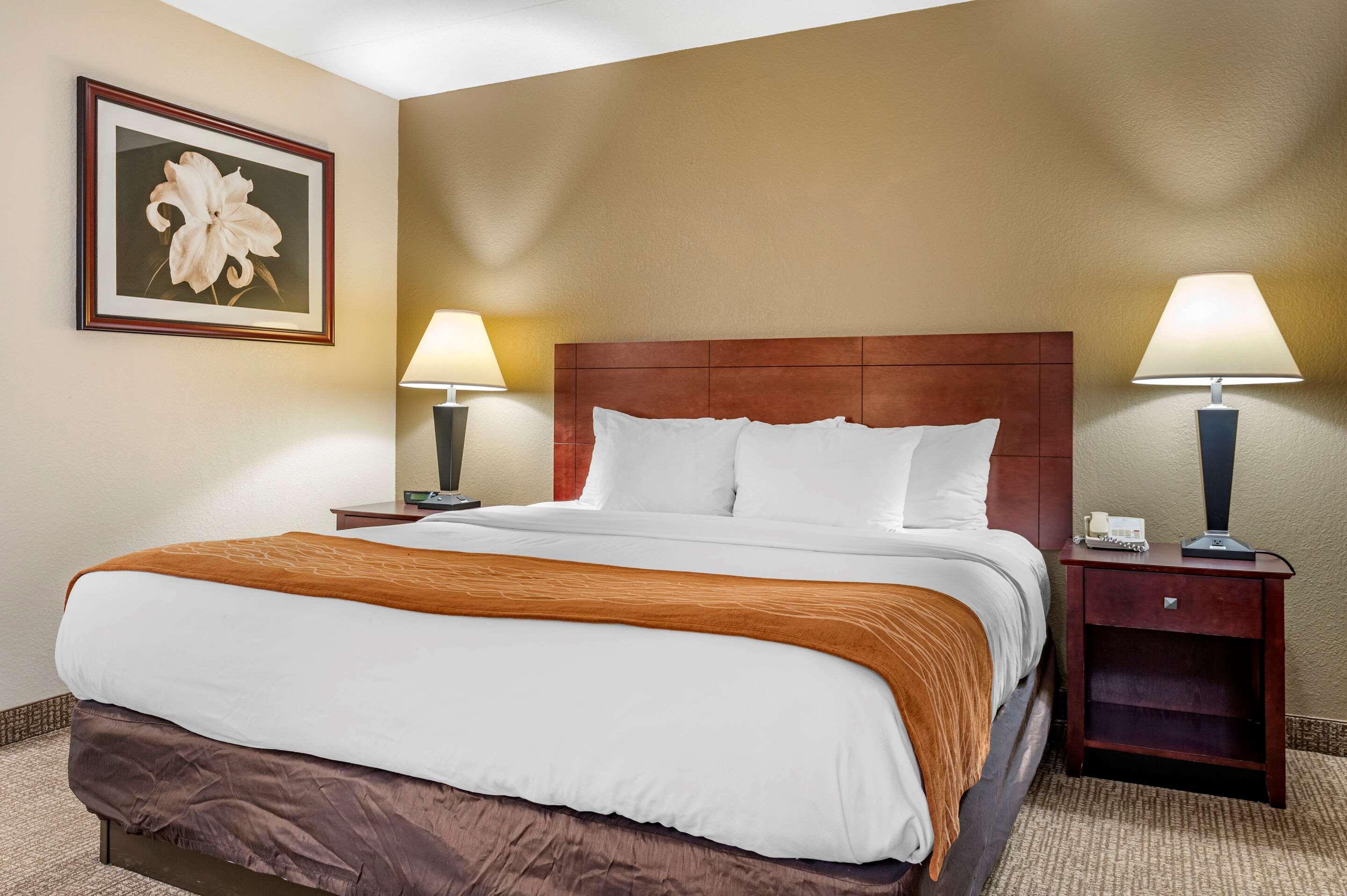 Comfort Inn Northeast Mason Dış mekan fotoğraf